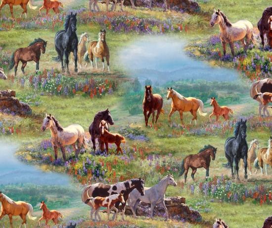 Meadow Horses