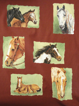 Horse Profiles