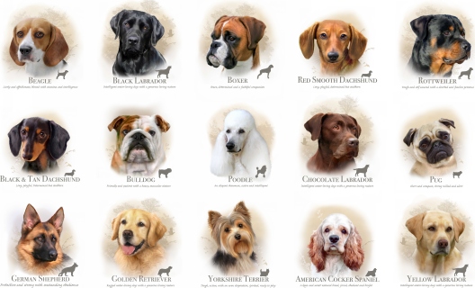 Dog Breeds